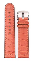 Zeige Details für Orlando Bild von Orlando