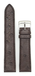 Zeige Details für Strauß Classic, dunkelbraun, 20/18 mm Bild von Strauß Classic, dunkelbraun, 20/18 mm